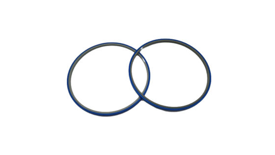 kopen Wafer Hoop Dubbele Ring Matching Blue Film gebruikt voor halfgeleiderveld online manufacture